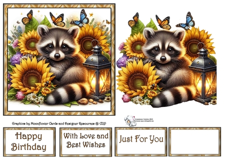 Sunflower Racoon by Celia Clare