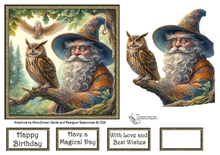 Wizzards Owl  by Celia Clare