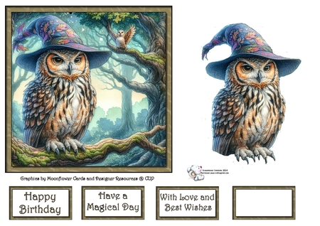 Wizzards Owl  by Celia Clare