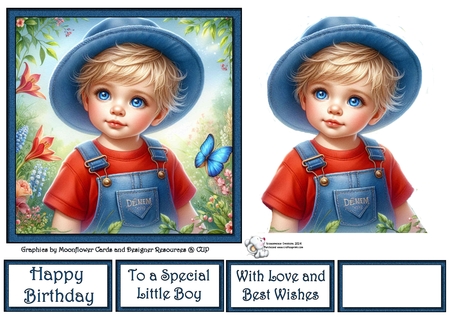Little Garden Boy  by Celia Clare