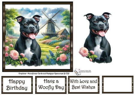 Windmill Dogs 8 by Celia Clare