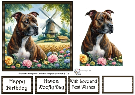 Windmill Dogs 8 by Celia Clare