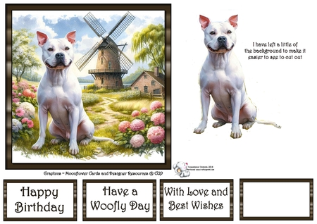 Windmill Dogs 8 by Celia Clare