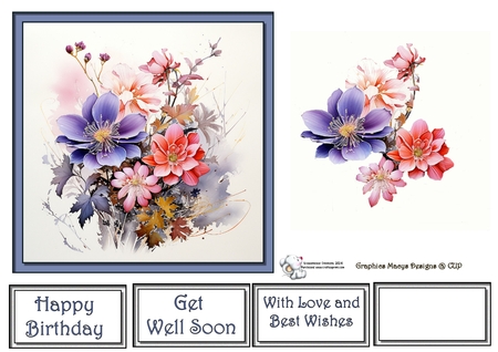 Colorful Flowers by Celia Clare