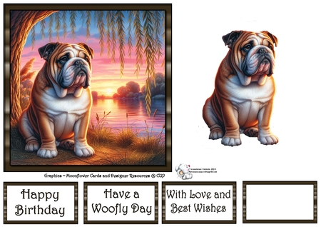 Willow Sunet Dogs 9 by Celia Clare
