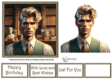 Fancy Hairstyle Library Males by Celia Clare