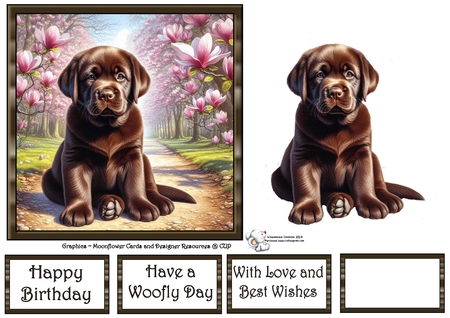 Magnolia Grove Pups 7 by Celia Clare