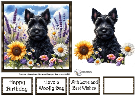 Many Flowers Pups 2 by Celia Clare
