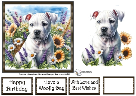 Many Flowers Pups 8 by Celia Clare