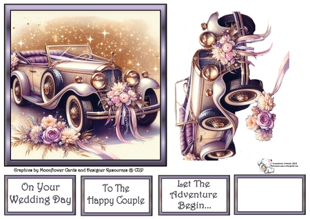 Beautiful Wedding Cars by Celia Clare