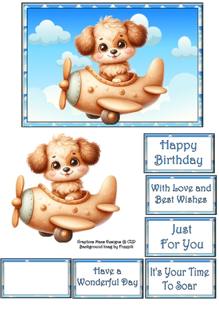 Airplane Dogs by Celia Clare
