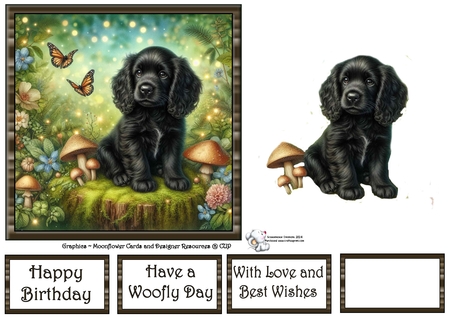 Fairy Glen Pups 9 by Celia Clare