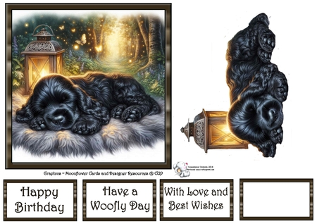 Firefly Lantern Pups 10 by Celia Clare