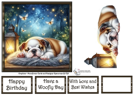 Firefly Lantern Pups 10 by Celia Clare