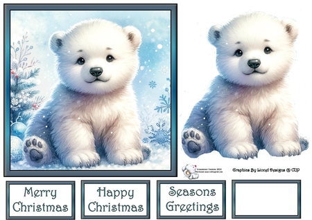 Baby polar bear by Celia Clare