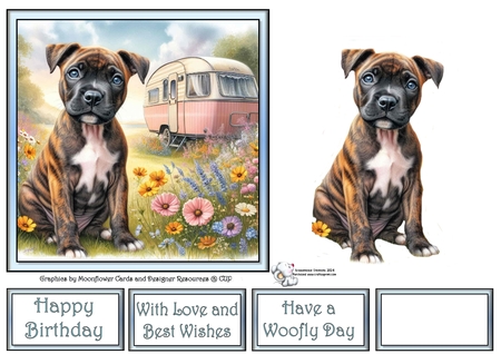 Caravan Pups 7 by Celia Clare
