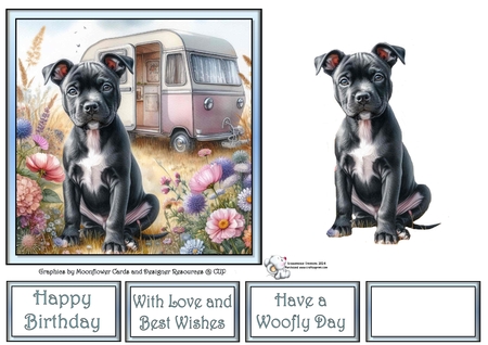 Caravan Pups 7 by Celia Clare