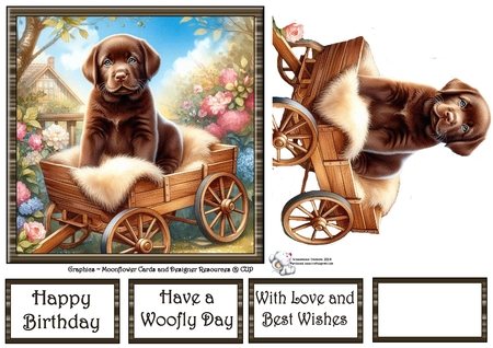 Garden Wagon Pups 7 by Celia Clare