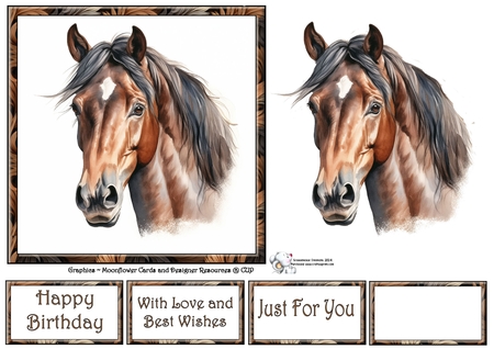 Bay Stunning Steeds Mix 1 by Celia Clare