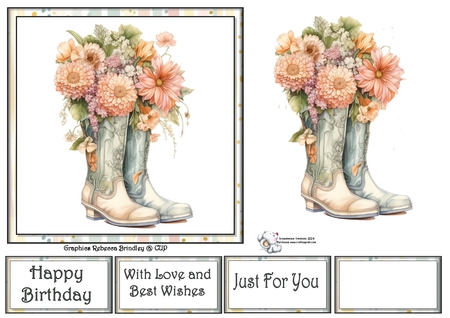 Give it some Welly in Peach - Mix 1 by Celia Clare