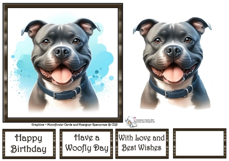 Dog Portraits 4 by Celia Clare