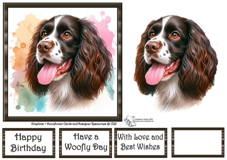 Dog Portraits 4 by Celia Clare