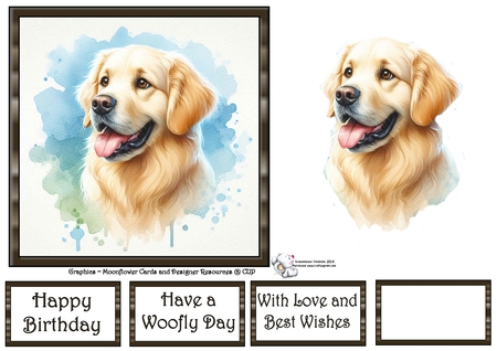 Dog Portraits 4 by Celia Clare