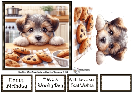 Puppy Cookies by Celia Clare