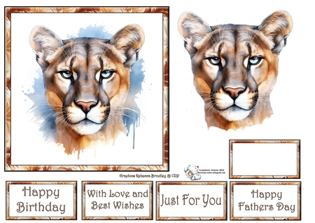 Beautiful Big Cats - Mountain Lion Mix 1 by Celia Clare
