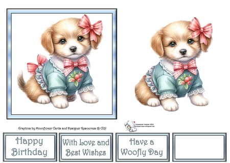 Puppy  Cutie by Celia Clare