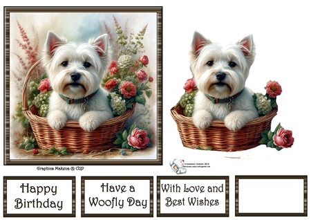 White Terrier backgrounds by Celia Clare