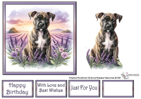 Lavender Fields Pups 5 by Celia Clare
