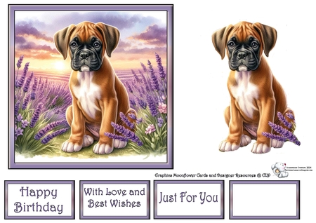 Lavender Fields Pups 7 by Celia Clare
