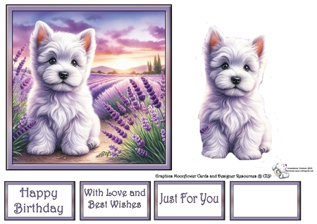 Lavender Fields Pups 9 by Celia Clare