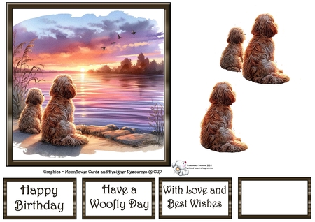 Sunset Dogs 2 by Celia Clare