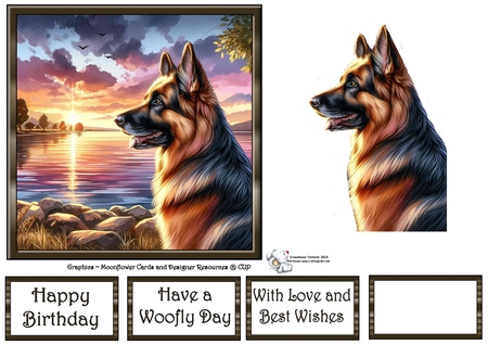 Sunset Dogs 4 by Celia Clare