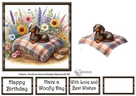 WildFlower Blanket Dogs 13 by Celia Clare