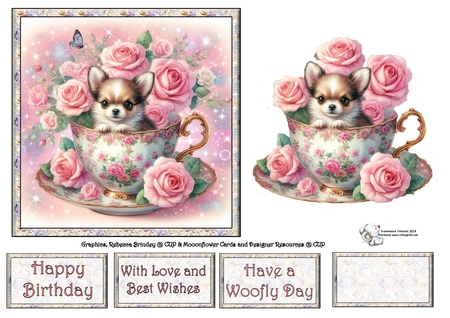 Rose teacup chihuahua  by Celia Clare