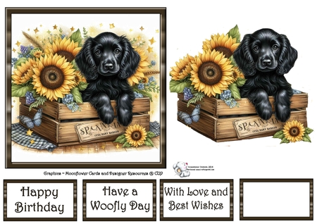 Sunflower Pups 2 by Celia Clare