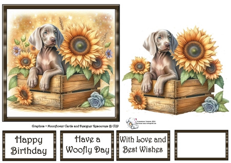Sunflower Pups 2 by Celia Clare
