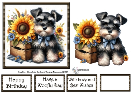 Sunflower Pups 8 by Celia Clare