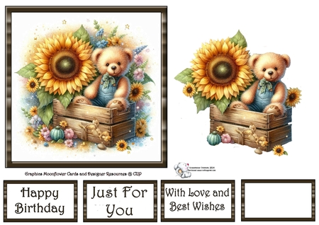 Sunflower Box Bear by Celia Clare