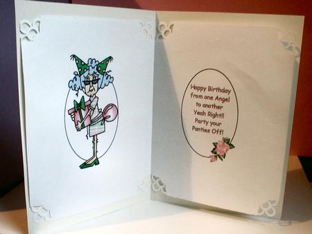 Stella's Getting Old Insert by Celia Clare