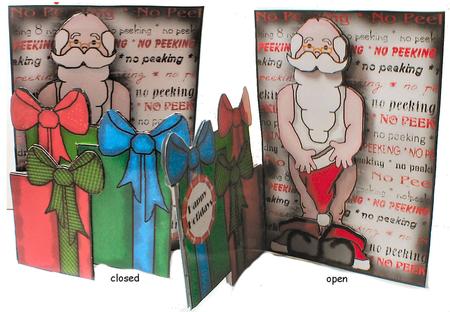 No Peeking Santa Card by Celia Clare