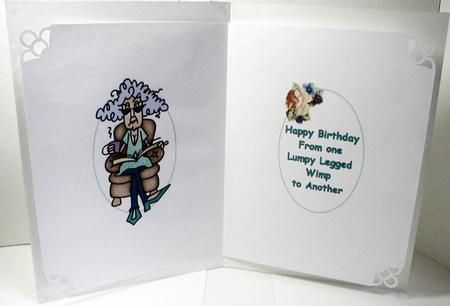 Stella Realises Ageing Isn't for Wimps Insert by Celia Clare