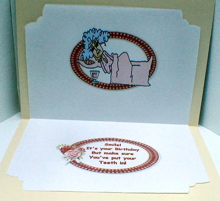 Stella and Her Teeth Insert by Celia Clare