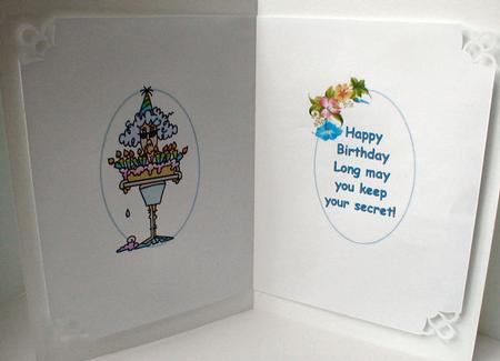 Stella is In-between Ages Insert by Celia Clare