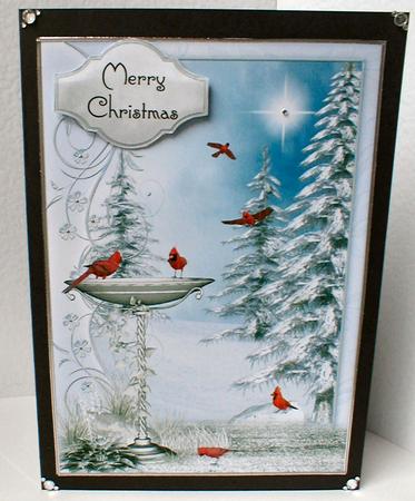 Red Cardinals & Snowy Trees by Celia Clare