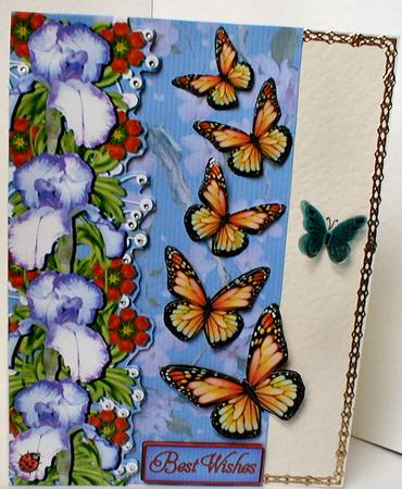 Flowers and Butteflies by Celia Clare