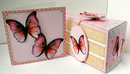3D Pretty Butterflies Cake Slice Treat Box Gift Set Mini Kit by Celia Clare